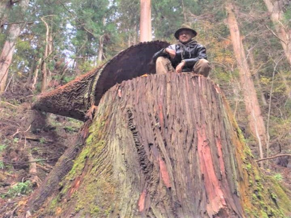 ヒップホップから林業へUターンの37歳　“自伐型”で山を守る【林業を知ろう】