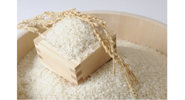 ふるさと納税 滋賀県の新ブランド米 みずかがみ 洋食にぴったり マイナビ農業