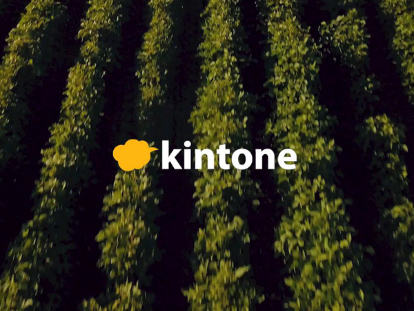 人材不足と収量アップを情報共有でサポート。サイボウズの『kintone（キントーン）』で、自分たちの農業を快適に。