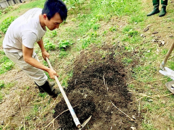 耕さない畑づくりのメリット 畑は小さな大自然vol 21 マイナビ農業