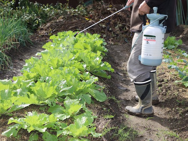 殺菌剤の種類と選び方の基礎知識　病害虫から庭木や農作物を守るには？