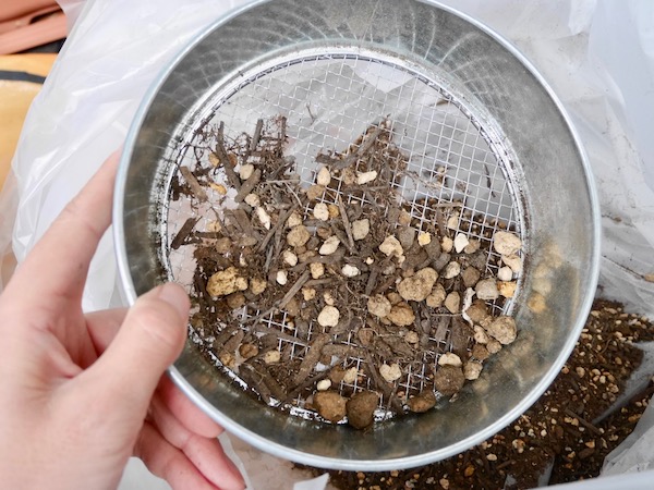 土のリサイクル 簡単な方法は 枯れ専かーちゃんのベランダ菜園