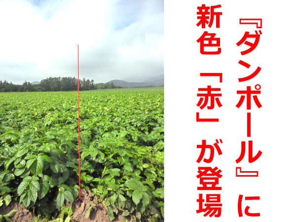 これは見やすい！ 北海道の大規模生産者が待望した”赤色『ダンポール®』”