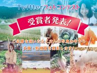 【マイナビ農業】Twitterフォトコンテスト受賞者発表！