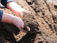 土壌改良とは？作物をうまく育てる方法は？土壌改良材を用途別に紹介！