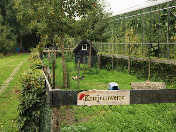 出張！オランダ農場 〜農福連携先進国に学ぶケアファーム〜