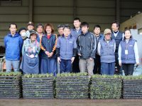 出荷量日本一のタマリュウを支える農福連携～地域とつながるノウフク#3～