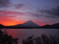 【ふるさと納税】静岡県のおすすめ返礼品５選！日本一の山と温泉のまち