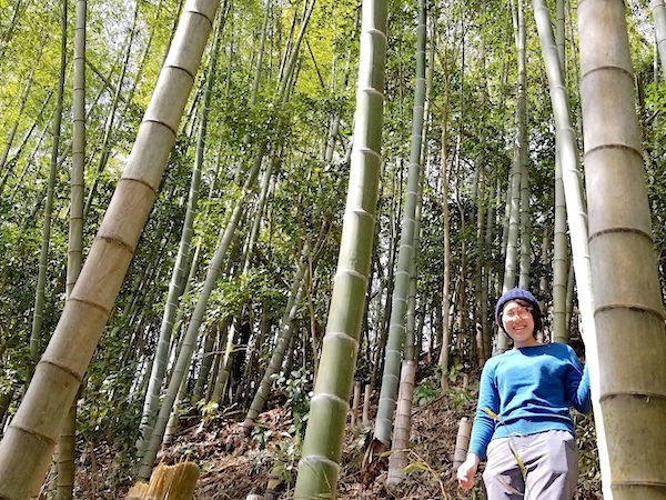 放置竹林は資源の宝庫 名人に学ぶ賢い竹の使い道