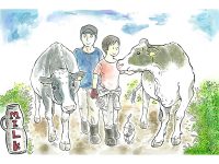 漫画「牛川いぬおの酪農日記」酪農と牛乳