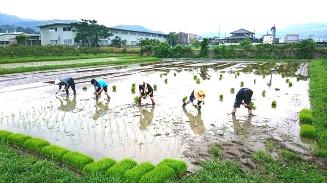 【ふるさと納税】農業体験おすすめ自治体５選！食育をはじめよう｜マイナビ農業