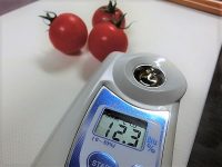 新規就農者でも高糖度トマトの生産を可能にする農法「アイメック」がすごい！
