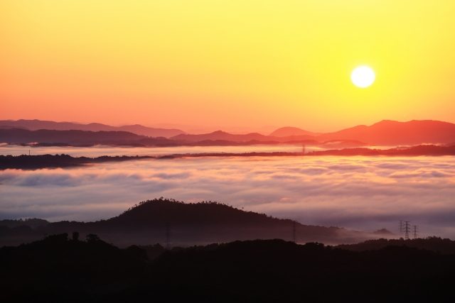 【ふるさと納税】岡山県のブランド米『朝日』おすすめ自治体｜マイナビ農業