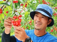福島県・県北地域でフルーツ栽培。果樹農家の魅力に迫る