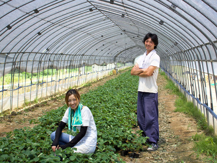 【福島県・松葉園】今だからこそ攻めの農業を！ スタッフ一丸となって取り組むイチゴ栽培への挑戦