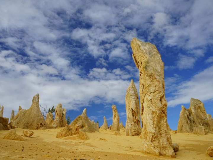 The Pinnacles limestone formations in Perth’s Nambung National Park are made of shells