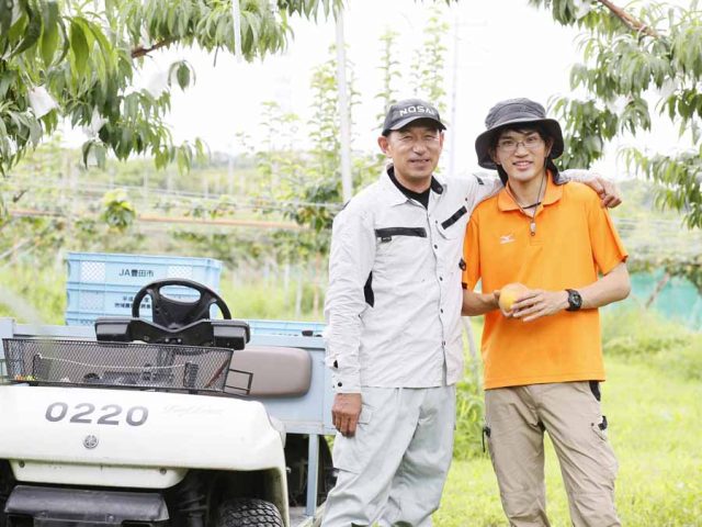 作ってみりん！とよたの桃梨～自動車のまち豊田市で新規就農しよう！～