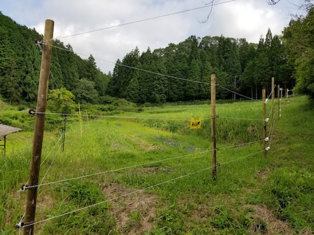 電気柵でイノシシ、シカを撃退！ 実践してわかった効果的な設置方法｜マイナビ農業