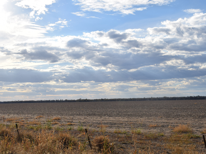 Taken from the window of our car – in some areas this kind of landscape continues unchanging for 20min
