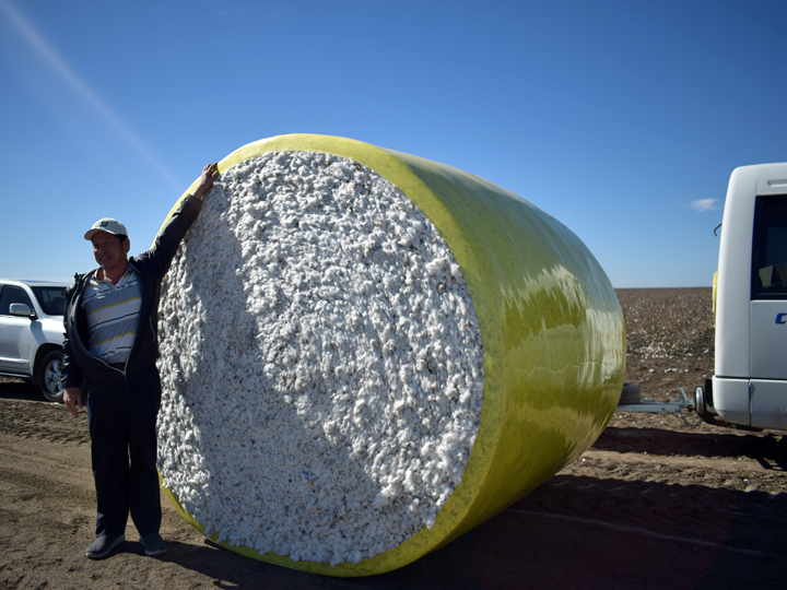 セント・ジョージで綿花栽培を行う『Rogan Pastoral Company』の圃場を視察。白い塊は収穫したてのコットン