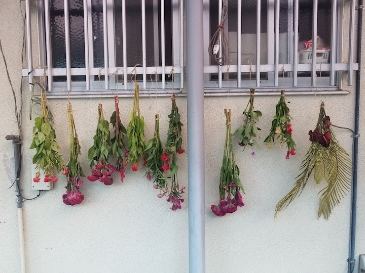 ドライフラワーにもできる 直売所向きの夏の花3選 マイナビ農業