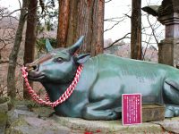 【ふるさと納税】鳥取県ブランド和牛「オレイン５５」極上ステーキ肉