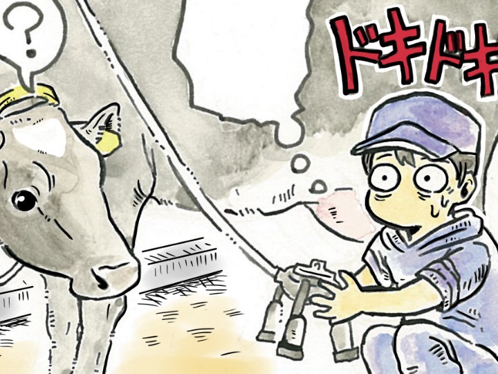 酪農漫画「うしだらけの日々」　第3話　畜産研修