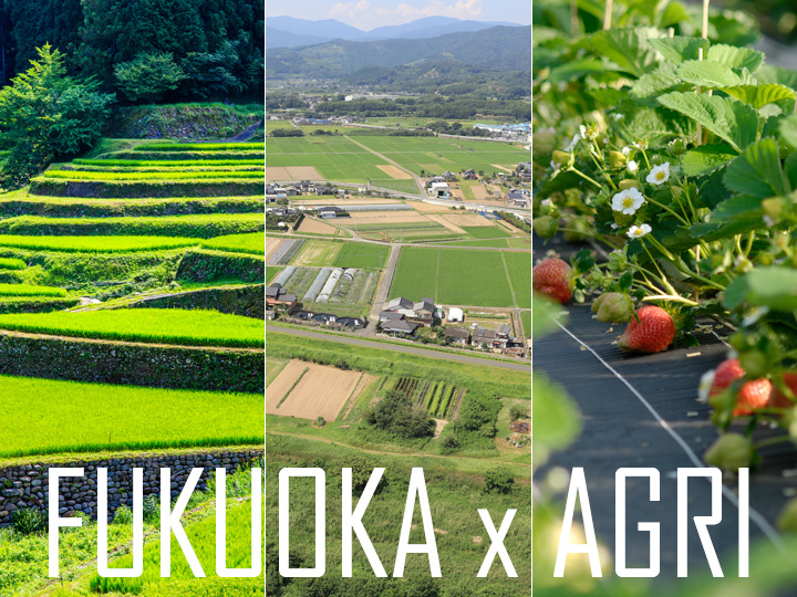 「農業県」ふくおかで就農しませんか？ “福岡の農業”の魅力を見学できる講座とツアーを実施中です！