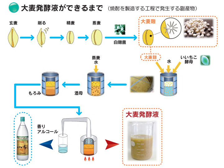 いいちこ』の三和酒類が開発した青汁が、日本中を元気にする？ ☆試供
