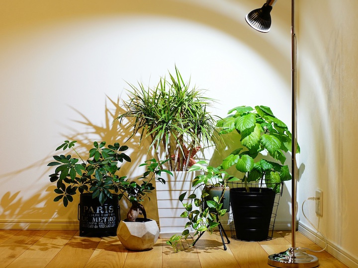 ❤大好評❣天候や昼夜に左右されずに植物の育成成長を促進♪❤植物育成