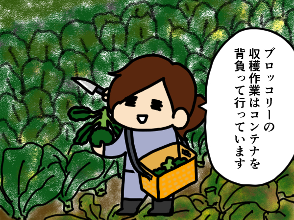 漫画「跡取りまごの百姓日記」【第40話】コンテナを使った収穫作業
