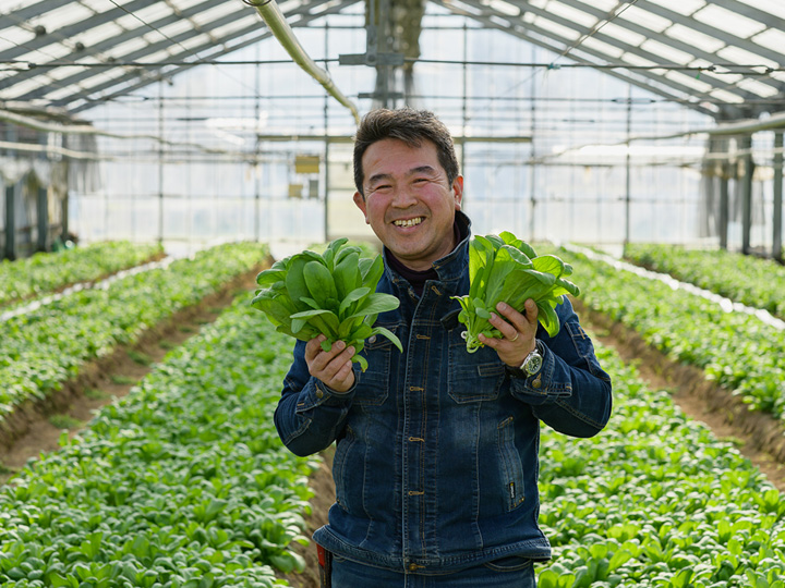 北九州でしか食べられない”幻の春菊”とは？ ～福岡県北九州市の農業の