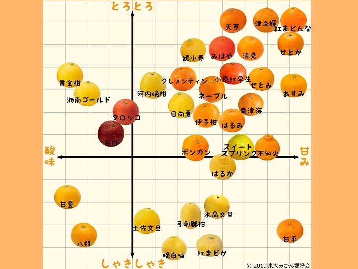ミカン33品種を徹底解説 味の違いやおいしい食べ方を知ろう