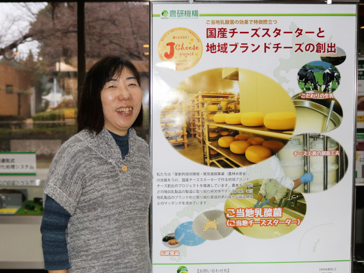 日本発のチーズスターター開発！　地域の味が出る国産チーズ作りへ