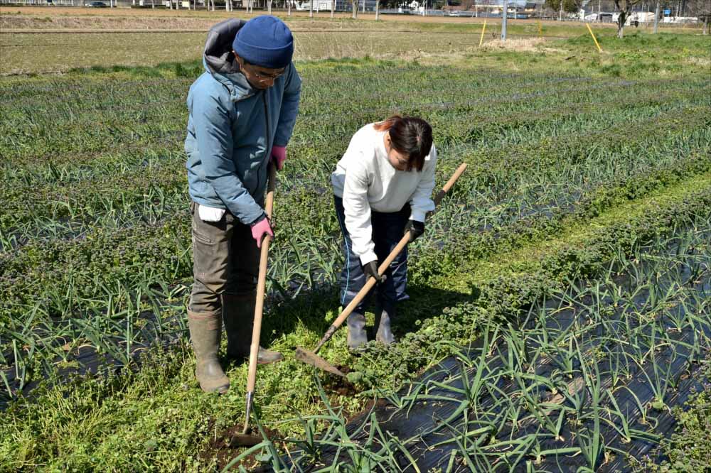 日本農業実践学園202003
