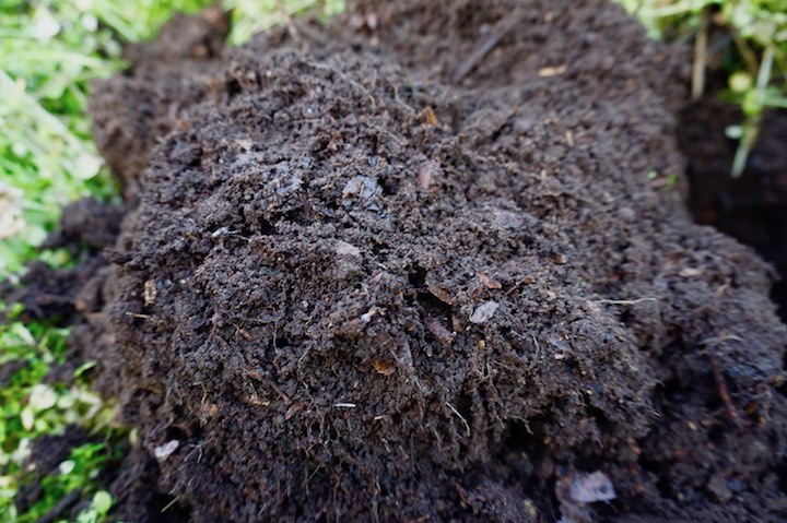 初心者でも簡単 手抜き腐葉土の作り方 畑は小さな大自然vol 76 マイナビ農業