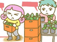 漫画「宮崎に移住した農家の嫁日記」【第114話】体力勝負の定植