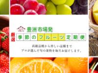 【季節のフルーツ定期便】毎月の旬のフルーツをお届け