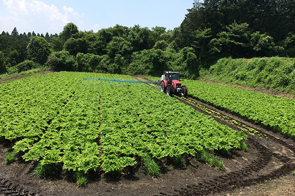 Agriin 農業酪農インターンシップ情報サイト マイナビ農業