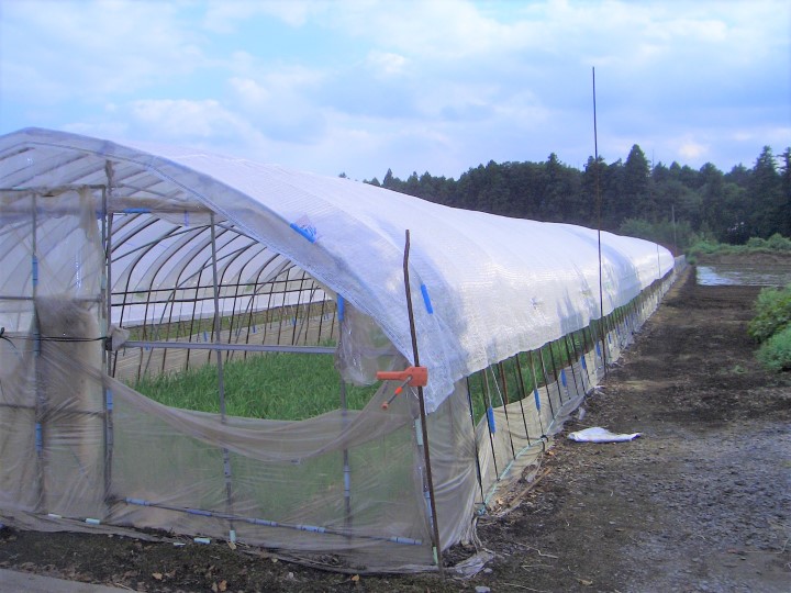 農業、家庭菜園に役立つ！ おすすめ遮光・遮熱用ネット7選｜マイナビ農業