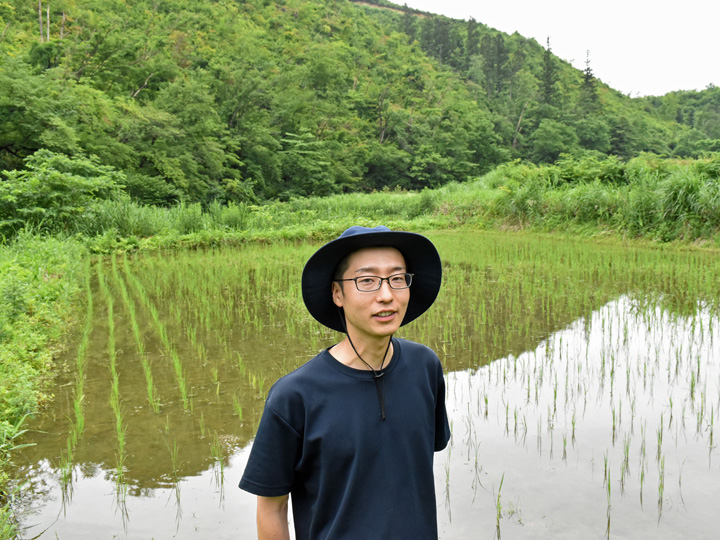 山形県朝日町で新規就農を果たした丸山さんの無農薬・無肥料の田んぼ