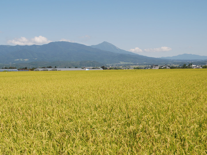 美味しいお米の産地として県内外でも高評価の福島県湯川村