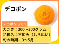 デコポンとは？名前の由来や気になる栄養・カロリー、切り方や食べ方も