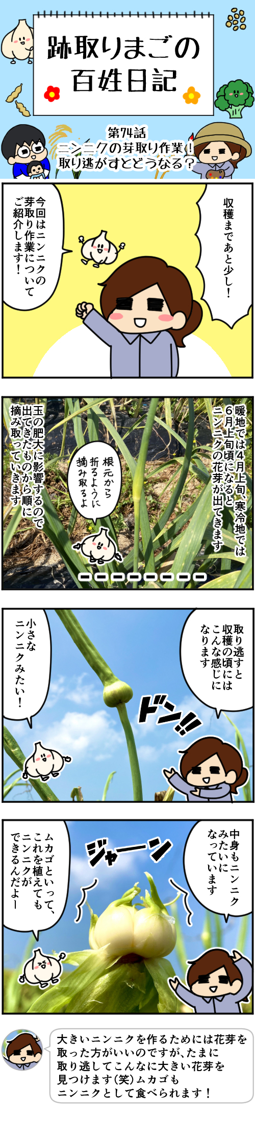 1 第74話本編