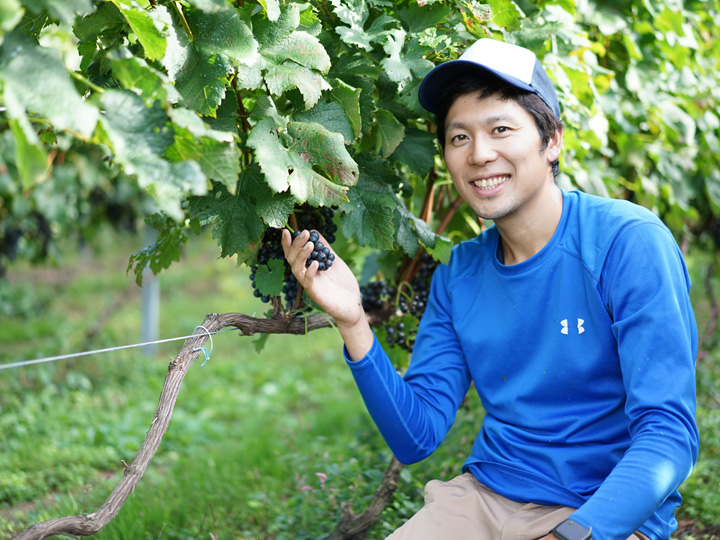 秋田県由利本荘市のワイン用ブドウの農園を営む豊島さん