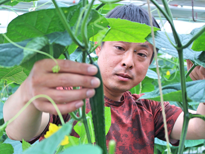農業を楽しむことが成功への近道。福島県青年農業士が考える、これからの農業と担い手育成の課題解決とは