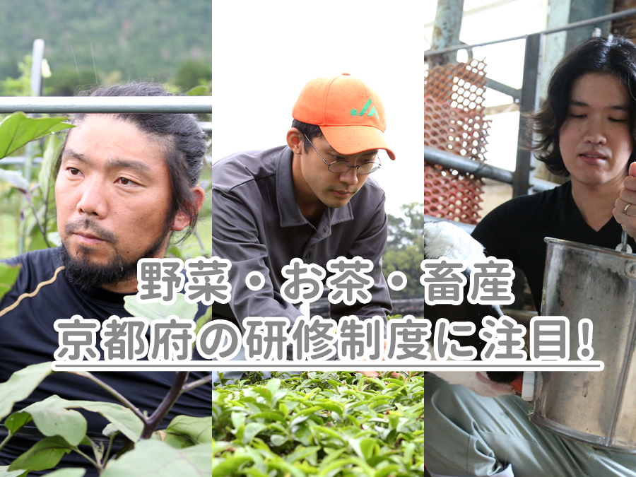 野菜・お茶・畜産―京都府では研修制度を整備して、担い手育成を強化