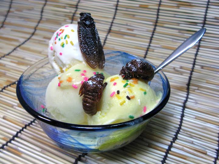昆虫食。セミのアイスクリーム