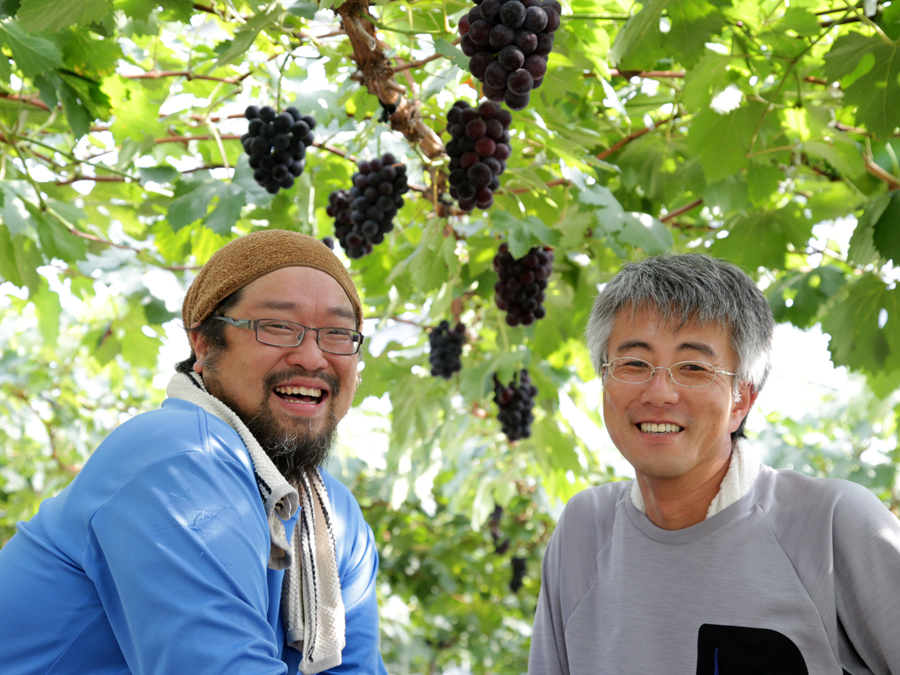 多様性がある島根県浜田市の農業。エリアごとに研修先農家を整備し、担い手を育成！