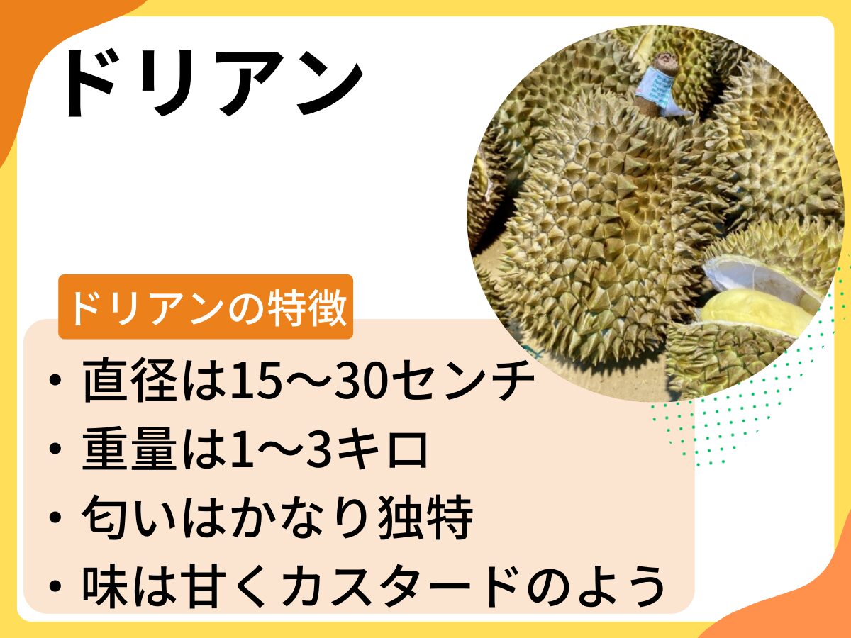 ドリアンの匂い＆味の正体は？栄養素とその効果・効能も解説